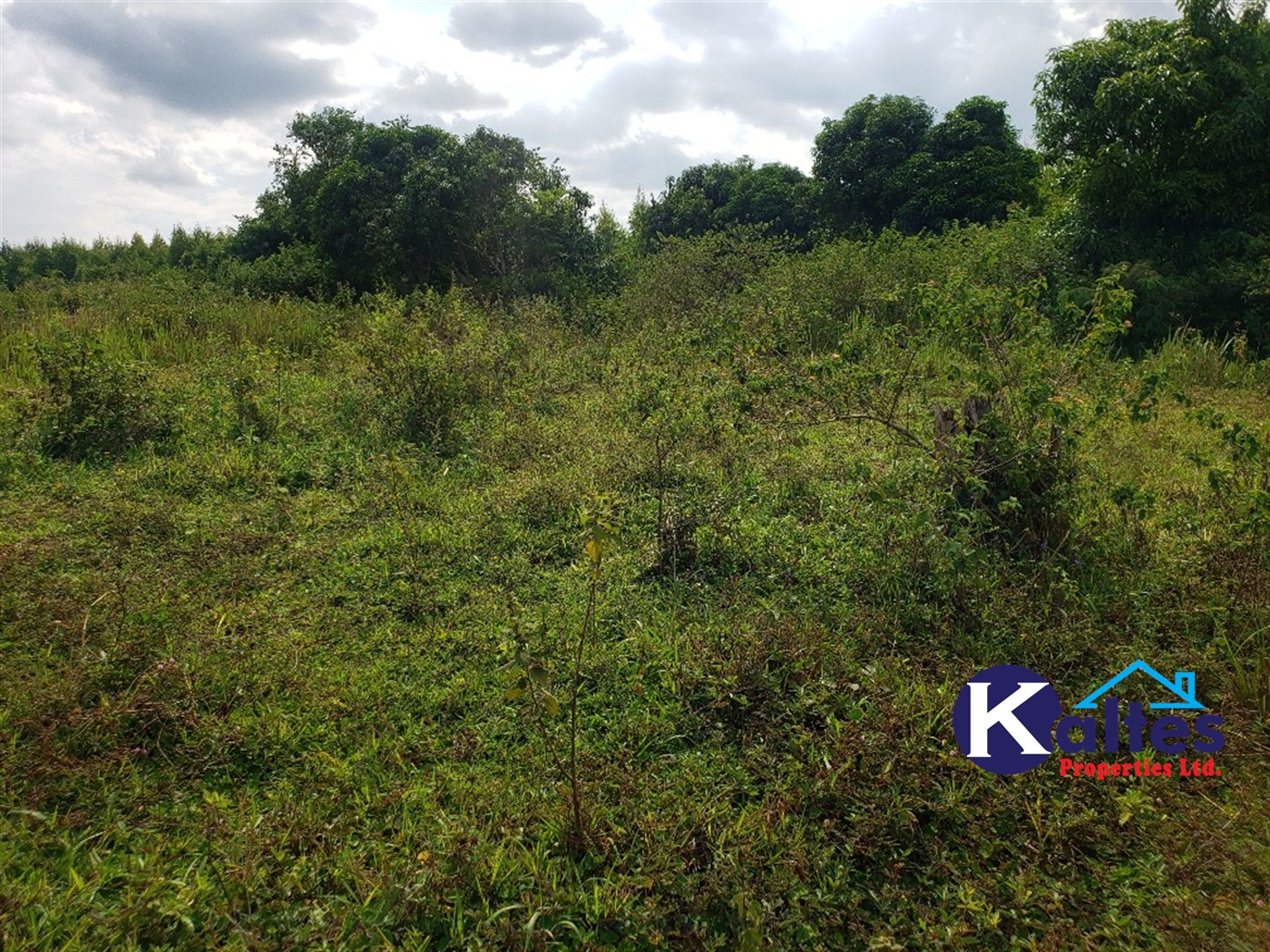 Agricultural Land for sale in Kisoga Mukono