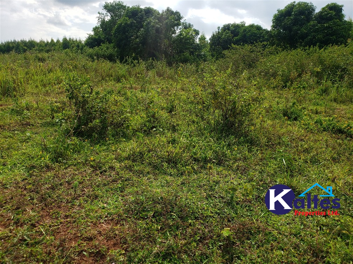 Agricultural Land for sale in Kisoga Mukono