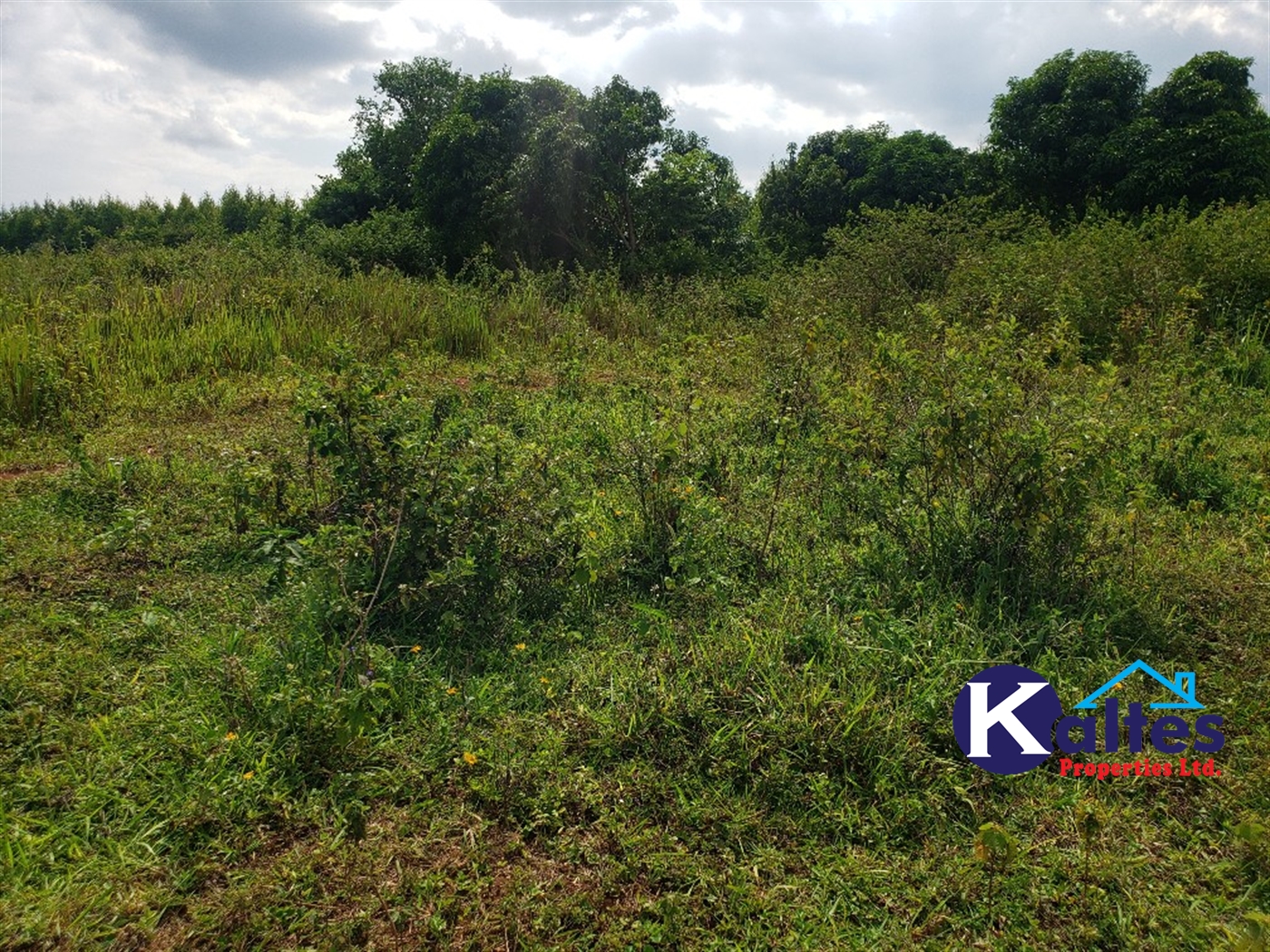 Agricultural Land for sale in Kisoga Mukono