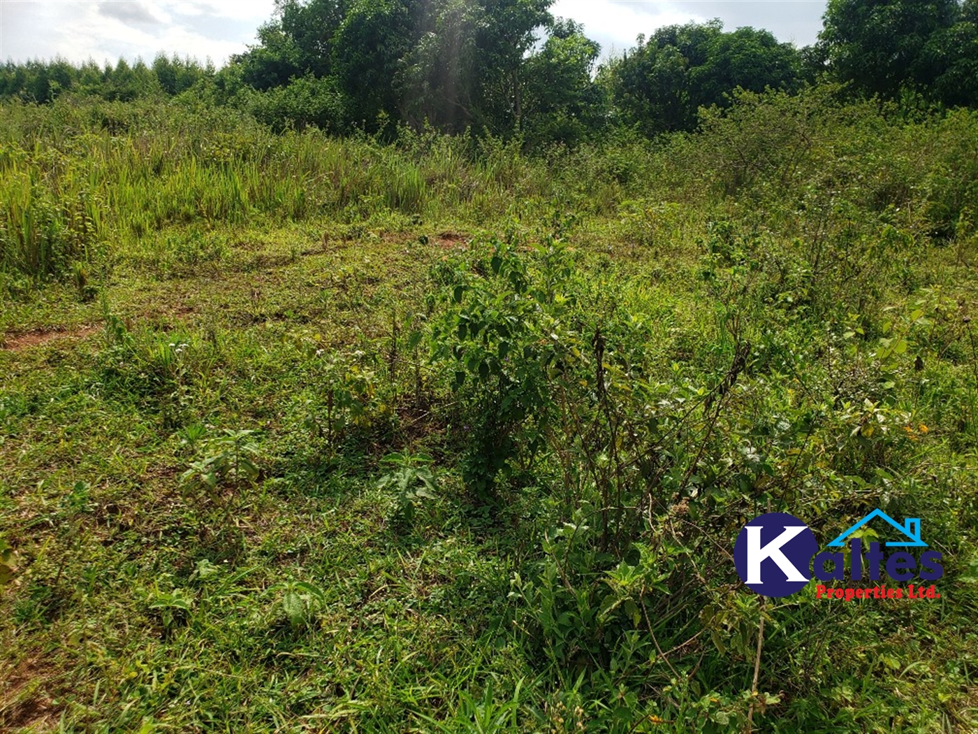 Agricultural Land for sale in Kisoga Mukono