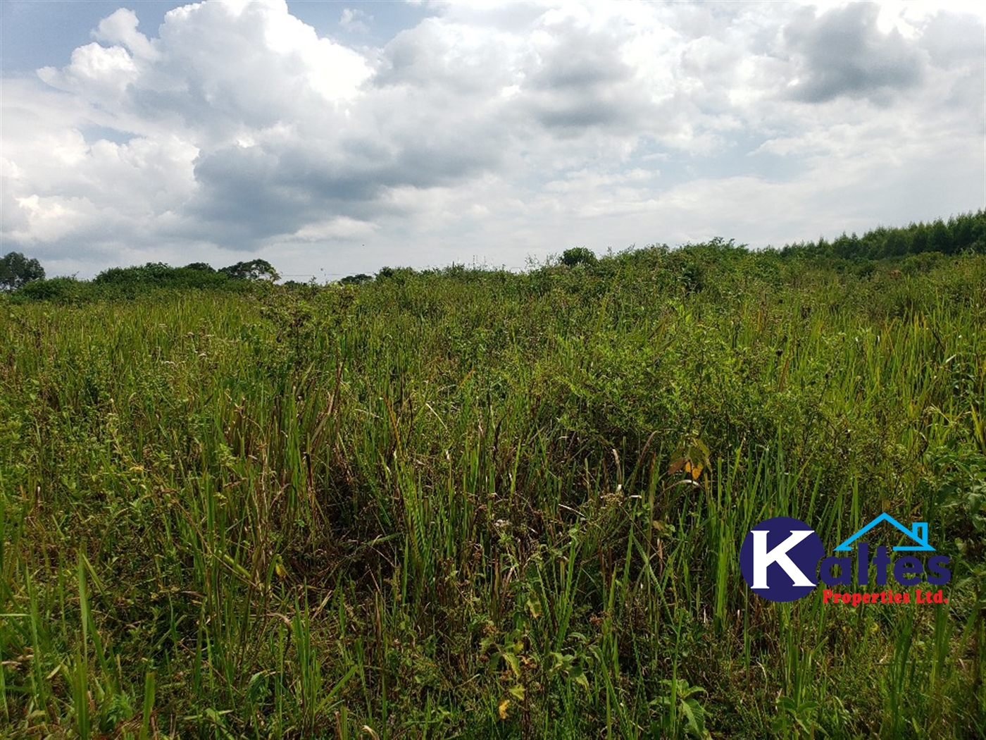 Agricultural Land for sale in Kisoga Mukono