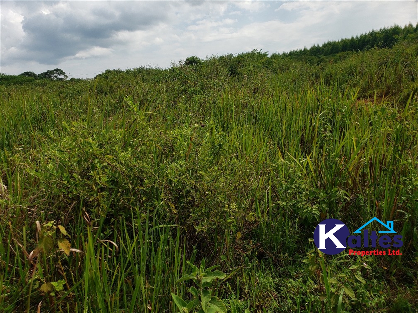 Agricultural Land for sale in Kisoga Mukono