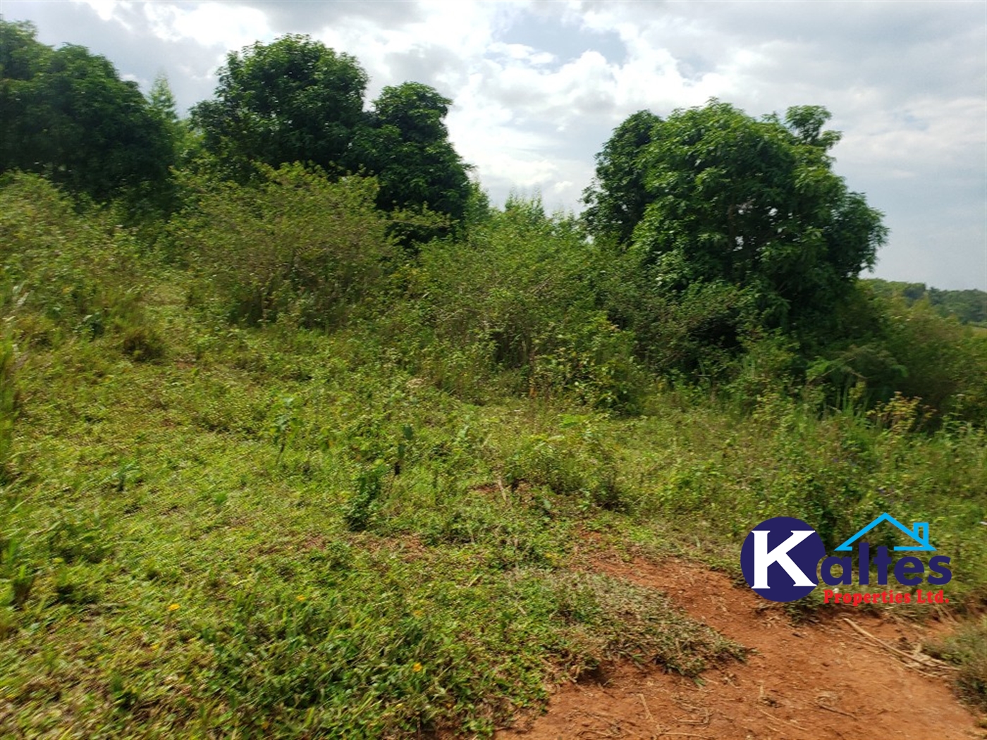 Agricultural Land for sale in Kisoga Mukono