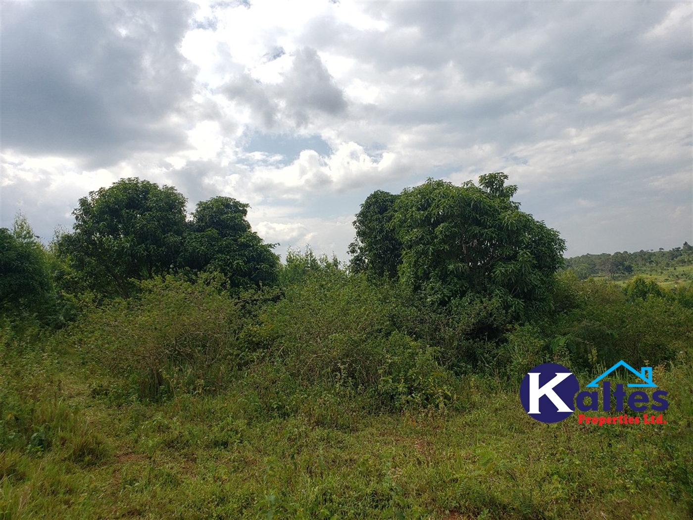 Agricultural Land for sale in Kisoga Mukono