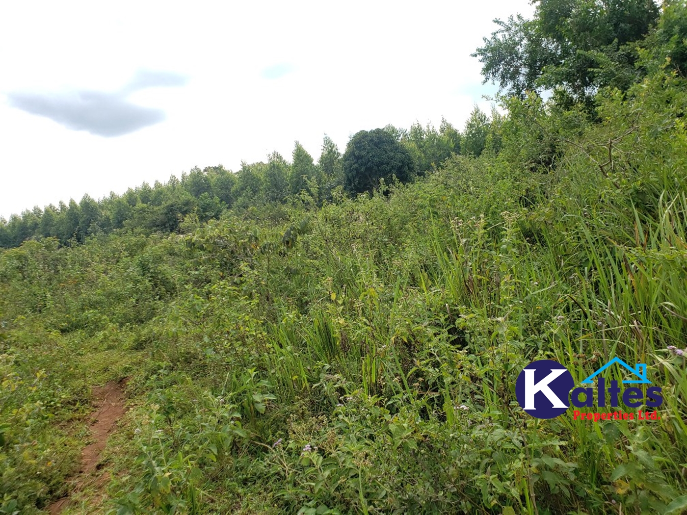 Agricultural Land for sale in Kisoga Mukono