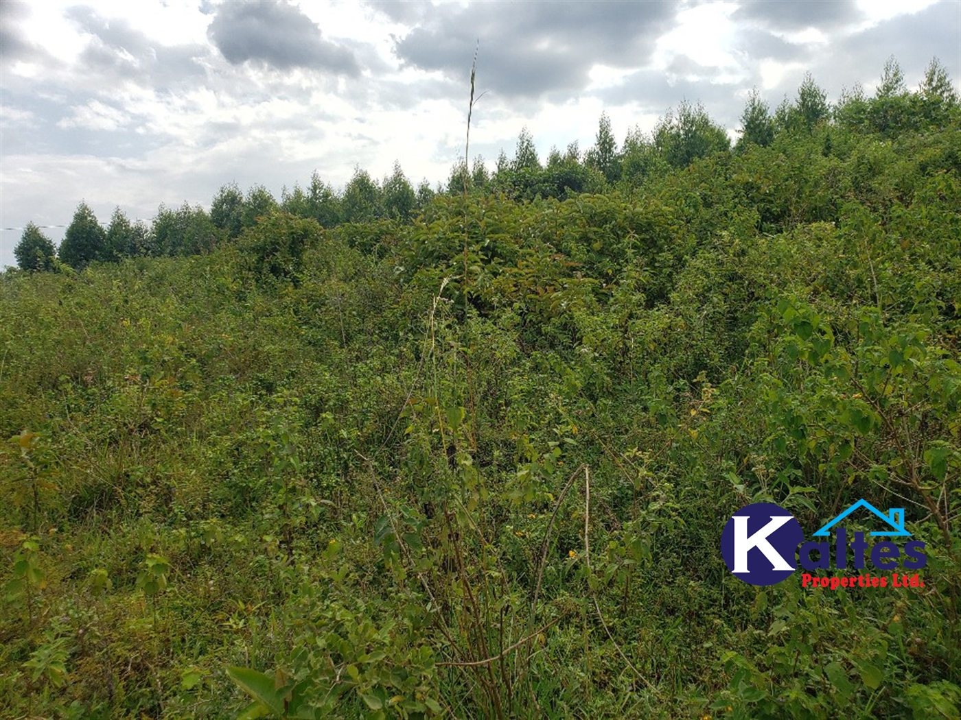 Agricultural Land for sale in Kisoga Mukono