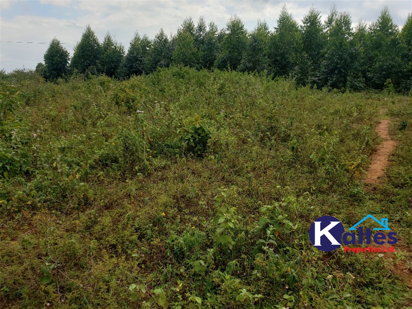 Agricultural Land for sale in Kisoga Mukono