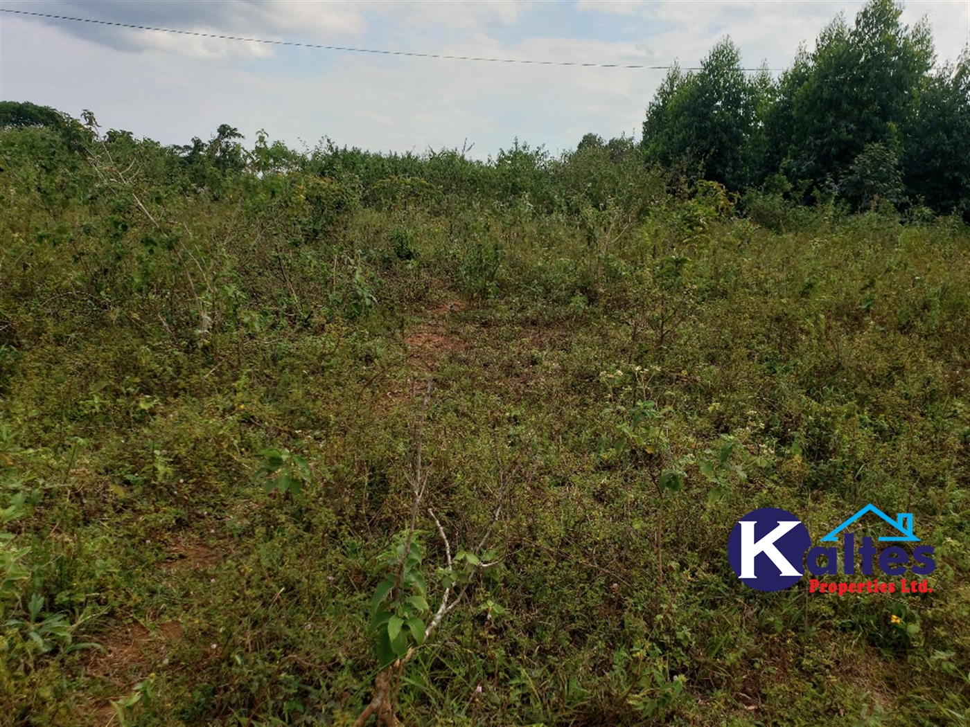 Agricultural Land for sale in Kisoga Mukono