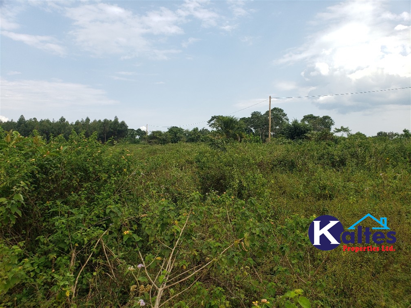 Agricultural Land for sale in Kisoga Mukono