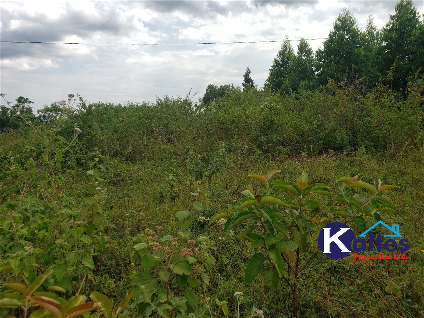 Agricultural Land for sale in Kisoga Mukono