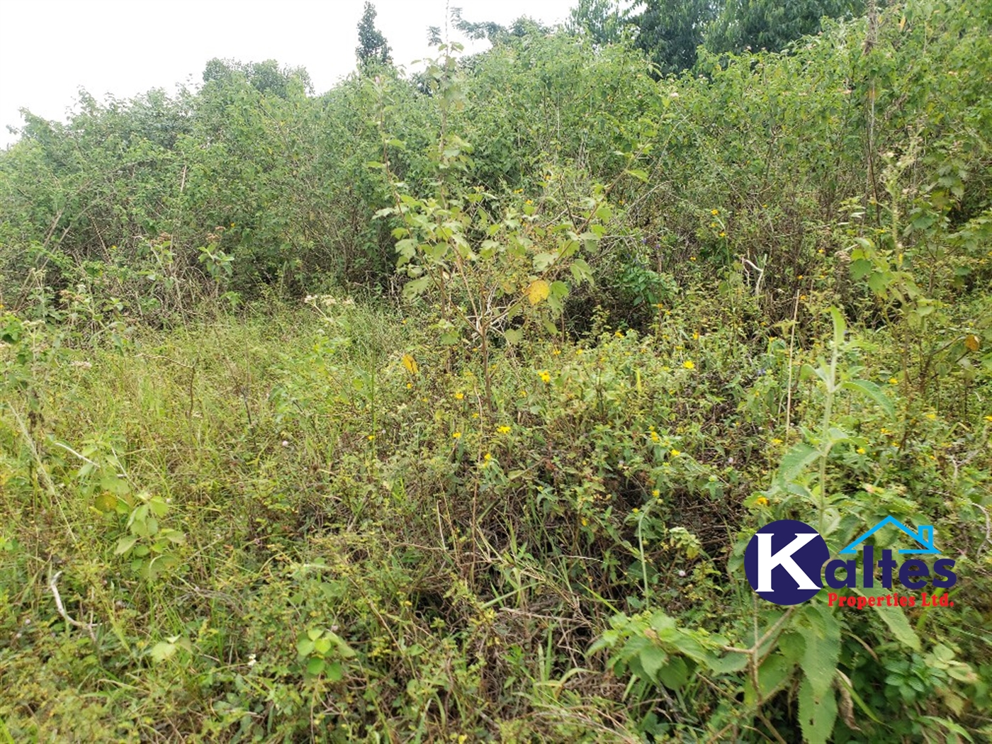 Agricultural Land for sale in Kisoga Mukono