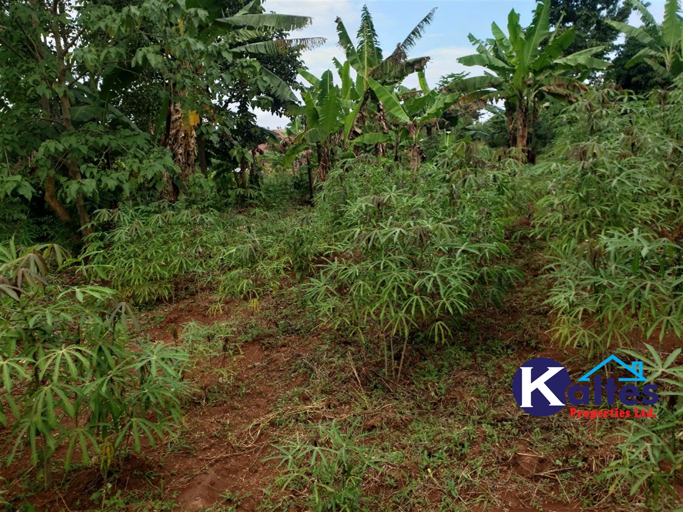 Agricultural Land for sale in Kisoga Mukono