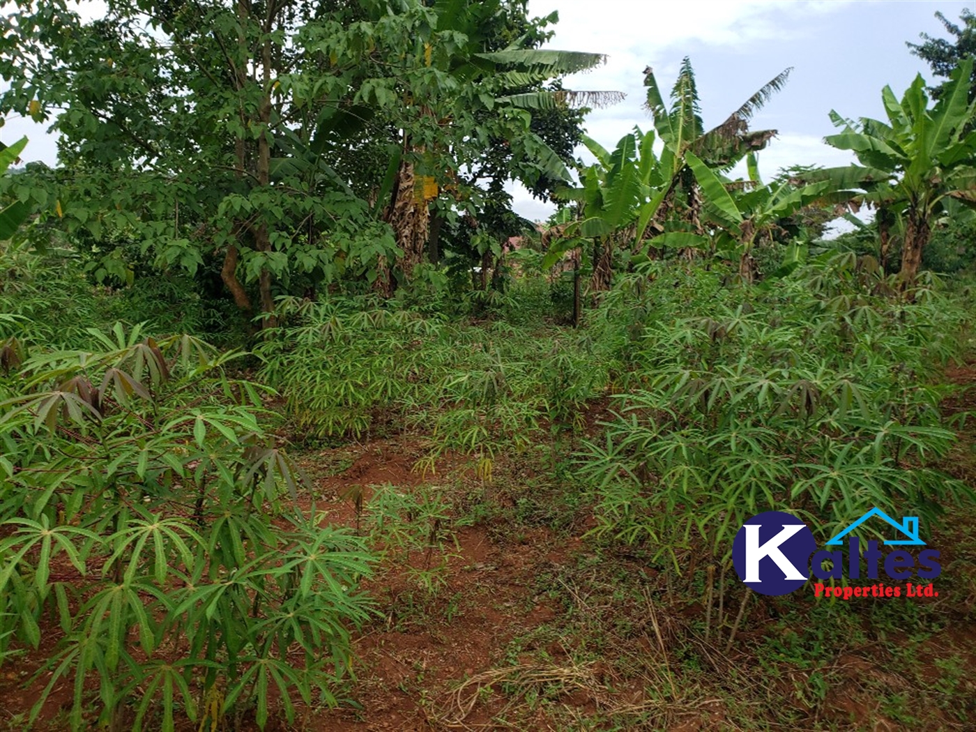 Agricultural Land for sale in Kisoga Mukono