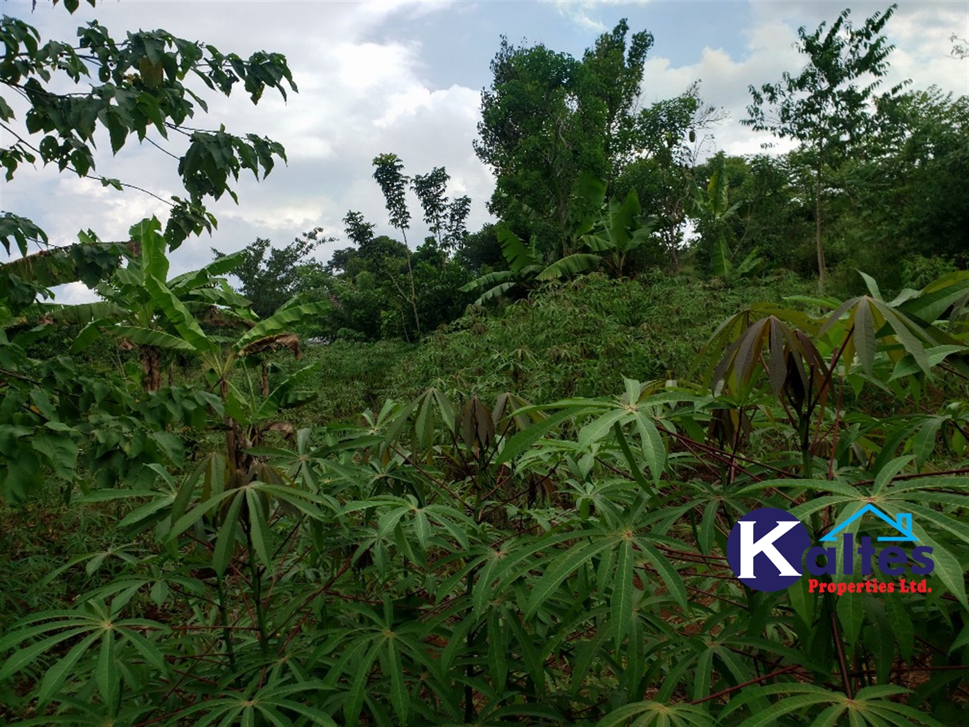 Agricultural Land for sale in Kisoga Mukono