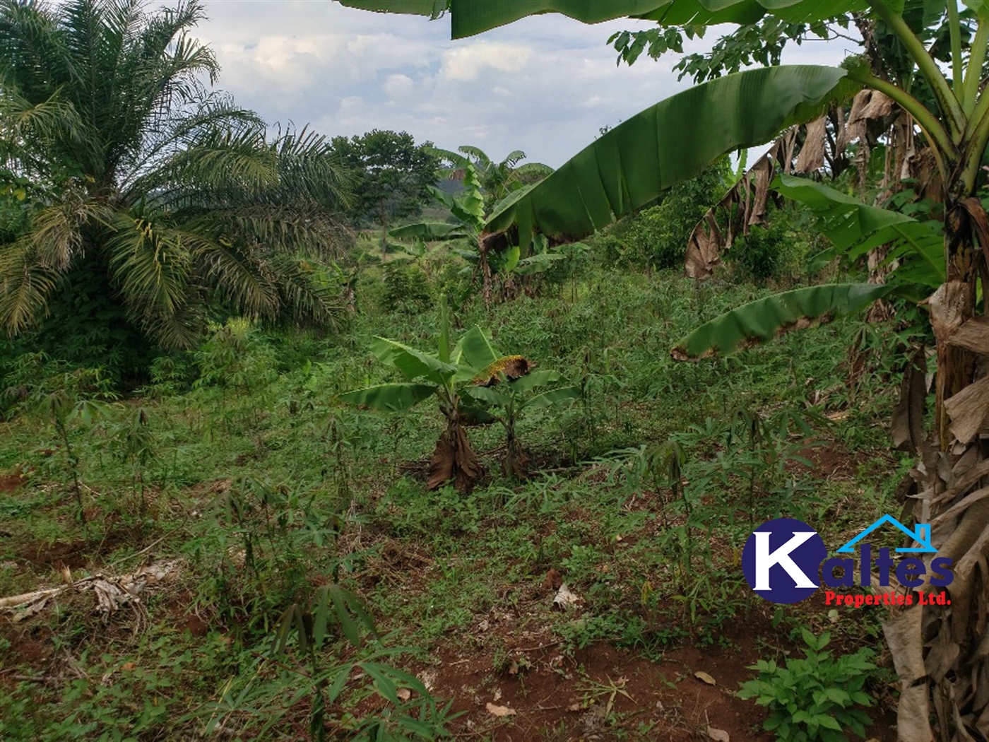 Agricultural Land for sale in Kisoga Mukono