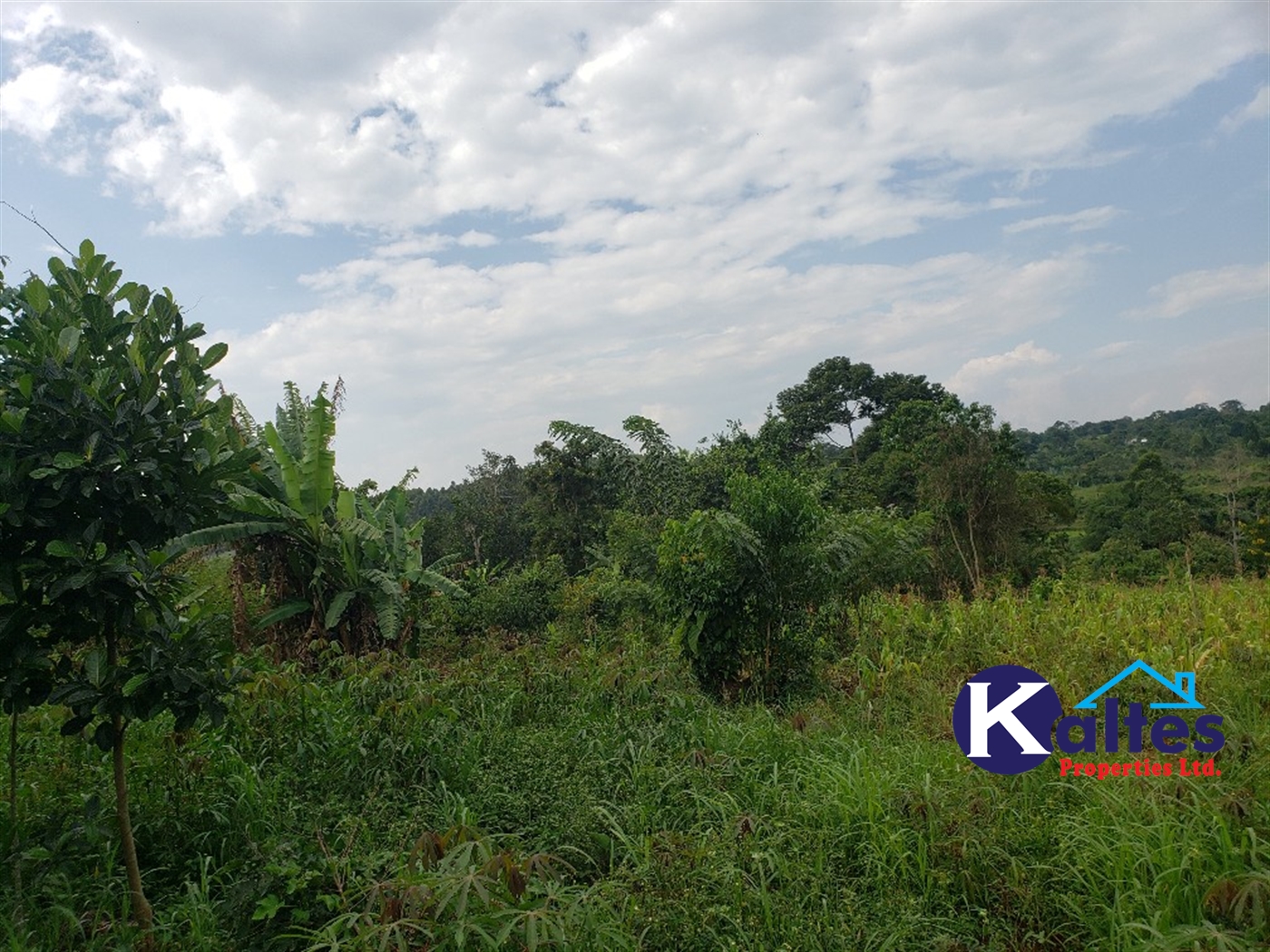 Agricultural Land for sale in Kisoga Mukono