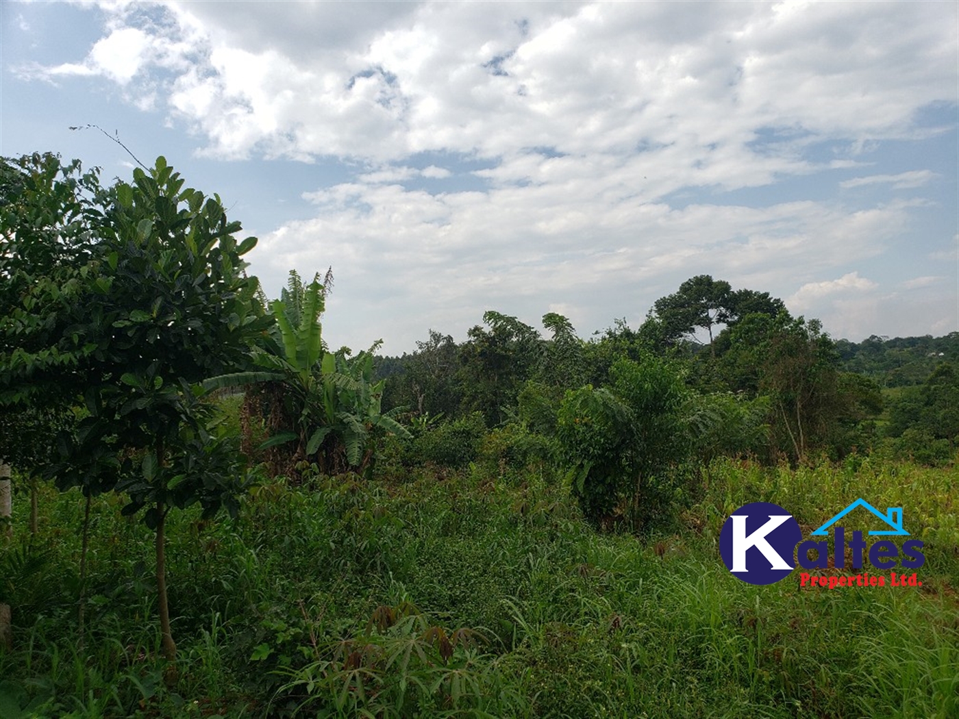 Agricultural Land for sale in Kisoga Mukono