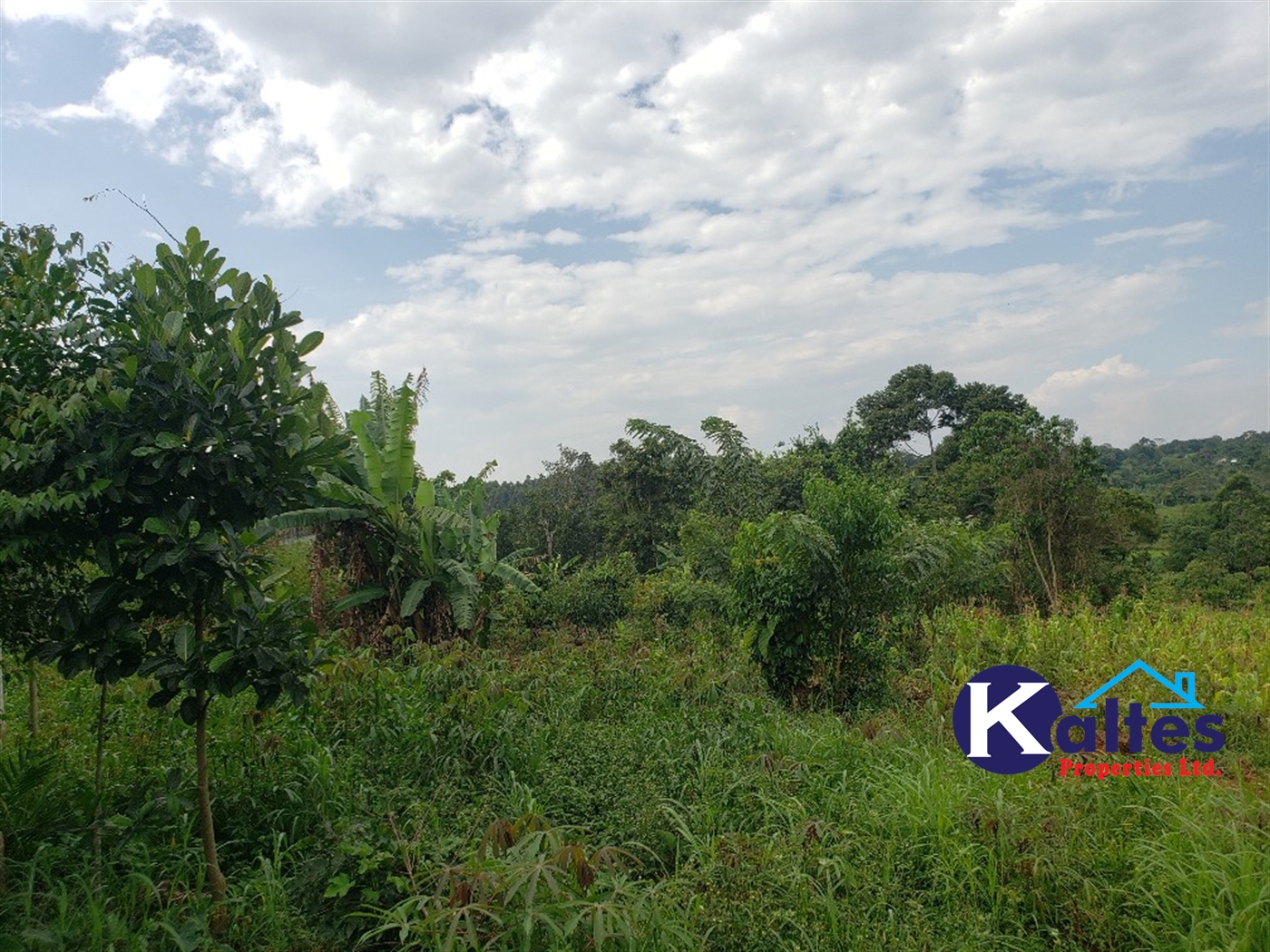 Agricultural Land for sale in Kisoga Mukono