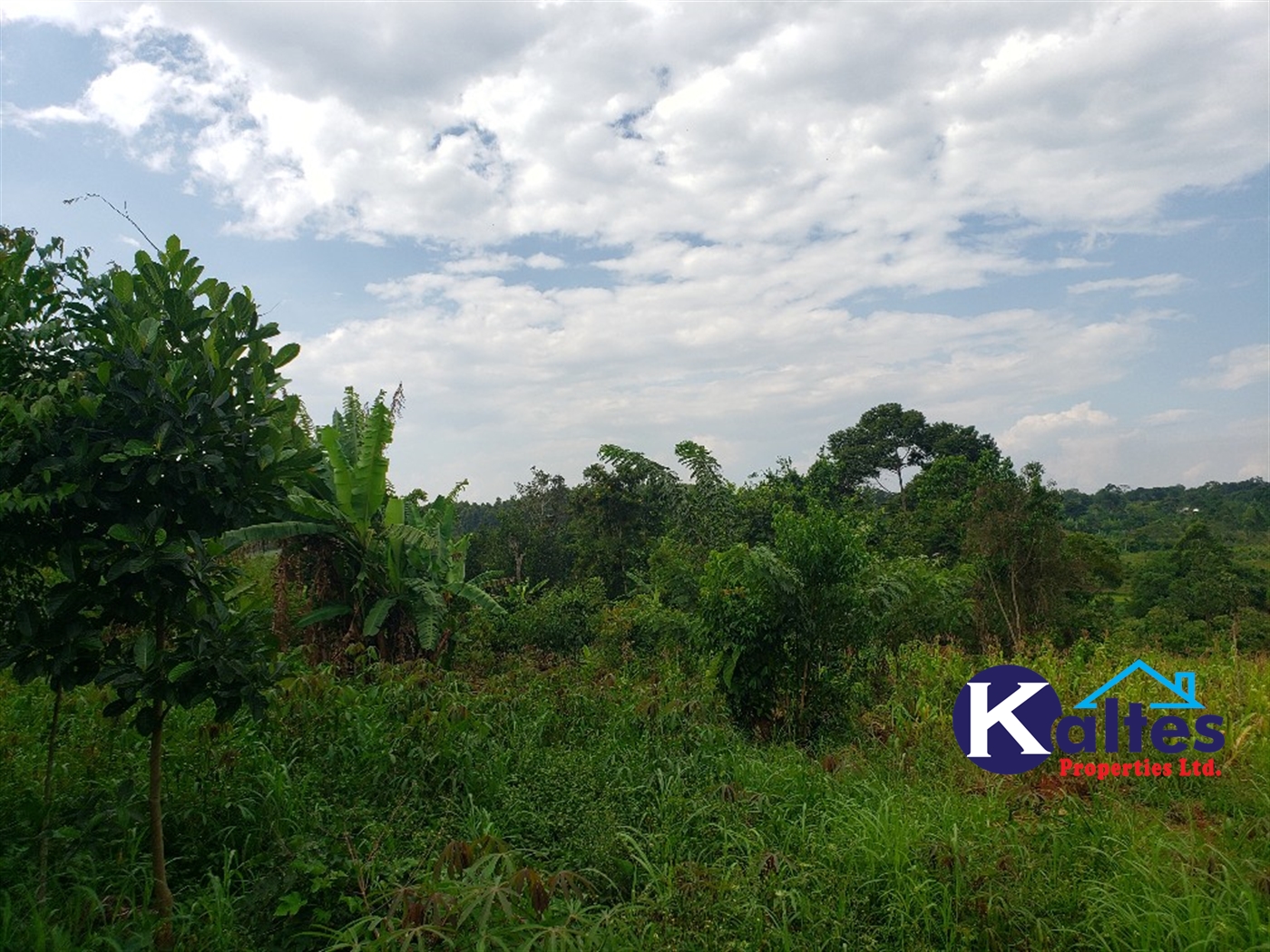 Agricultural Land for sale in Kisoga Mukono