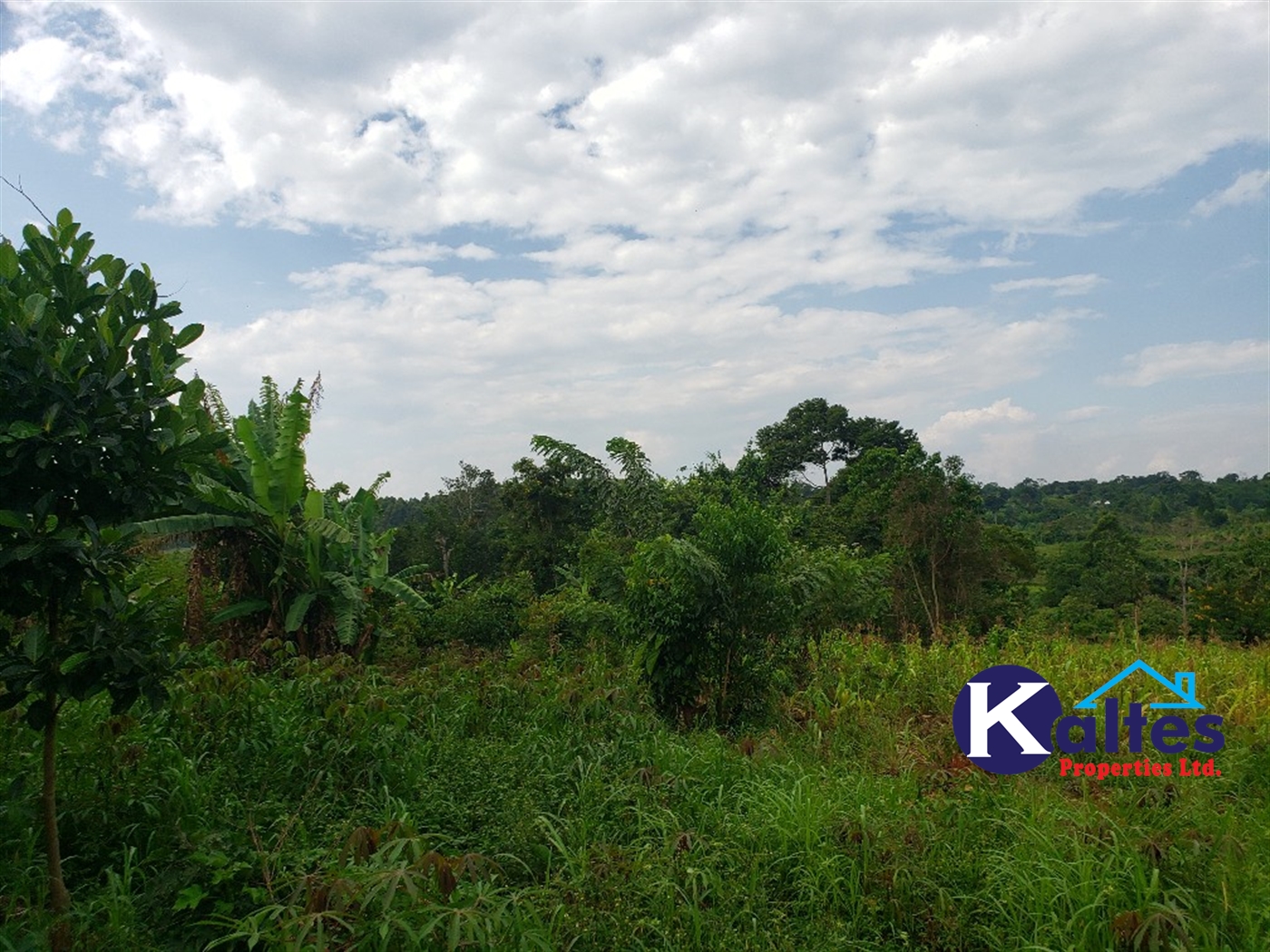 Agricultural Land for sale in Kisoga Mukono