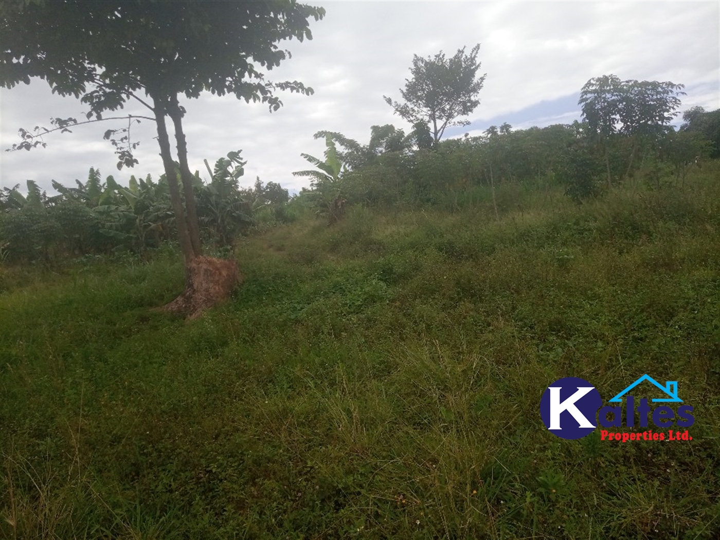 Agricultural Land for sale in Kisoga Mukono