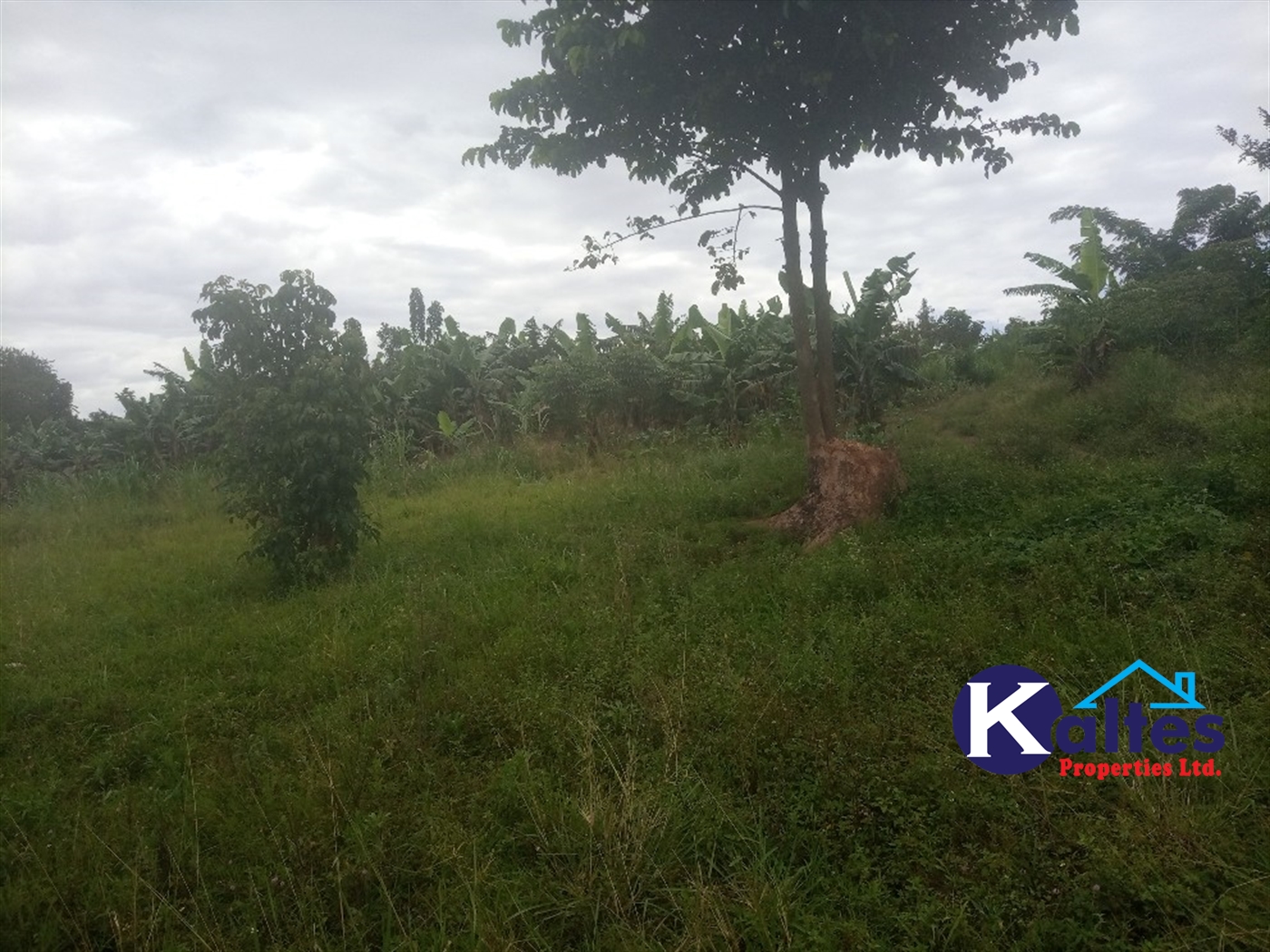 Agricultural Land for sale in Kisoga Mukono