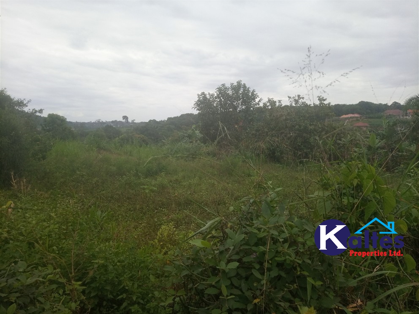 Agricultural Land for sale in Kisoga Mukono