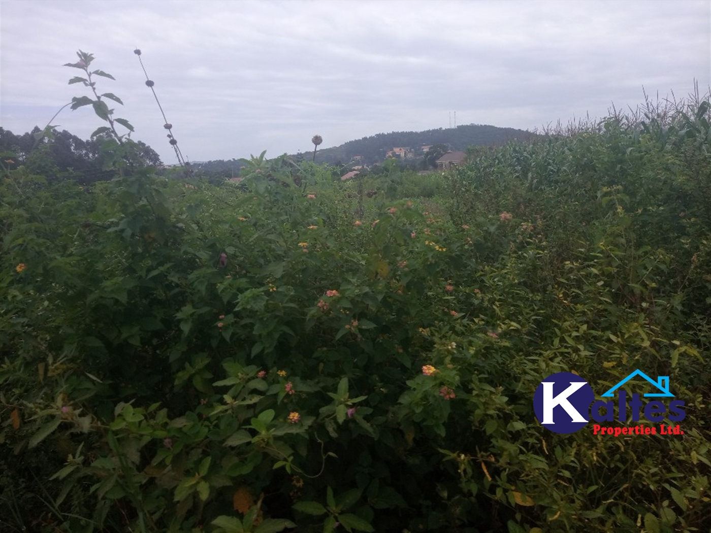 Agricultural Land for sale in Kisoga Mukono