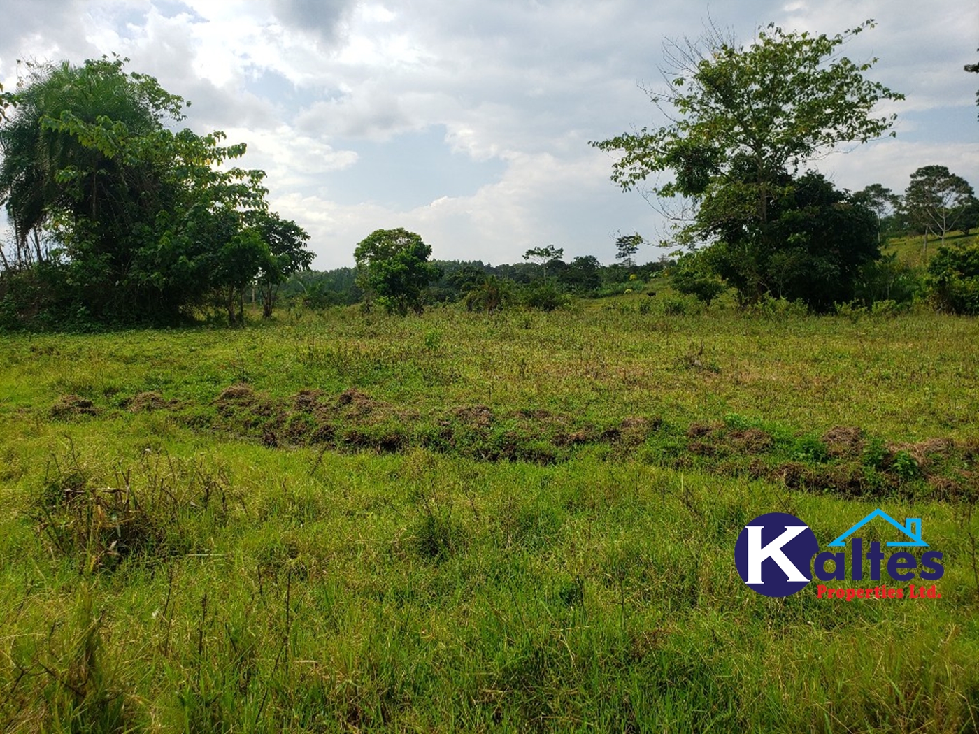 Agricultural Land for sale in Kisoga Mukono