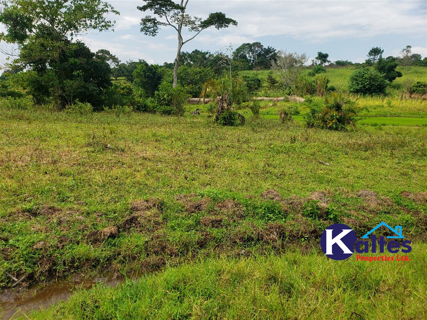 Agricultural Land for sale in Kisoga Mukono