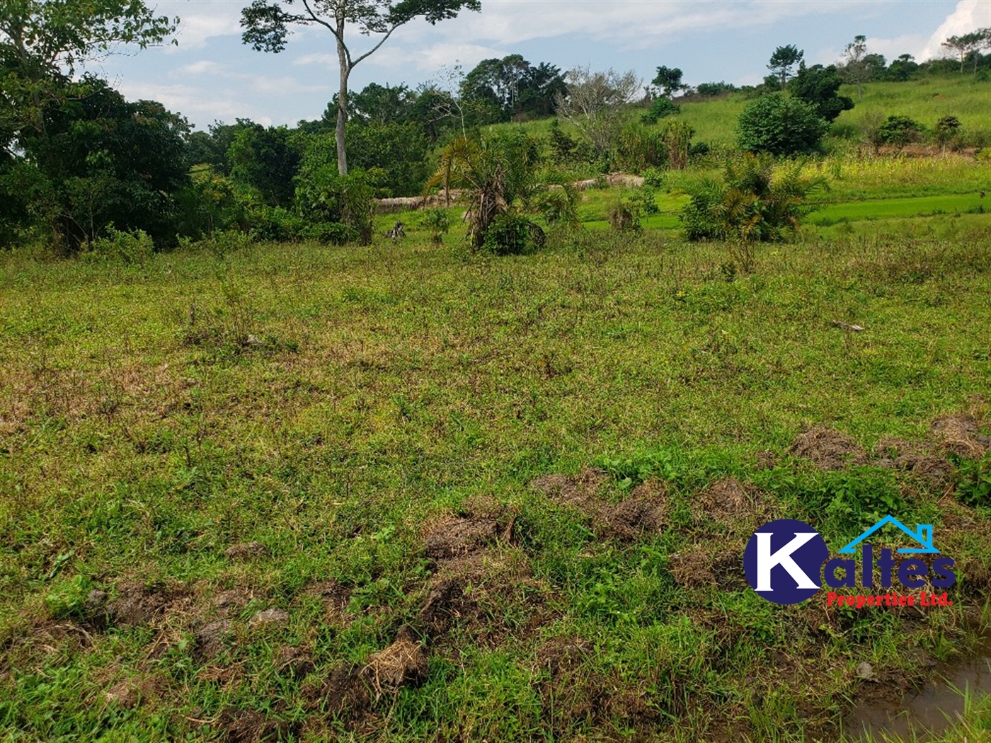 Agricultural Land for sale in Kisoga Mukono