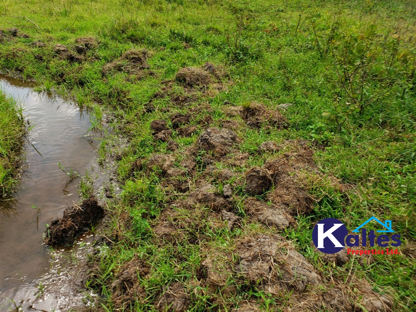 Agricultural Land for sale in Kisoga Mukono