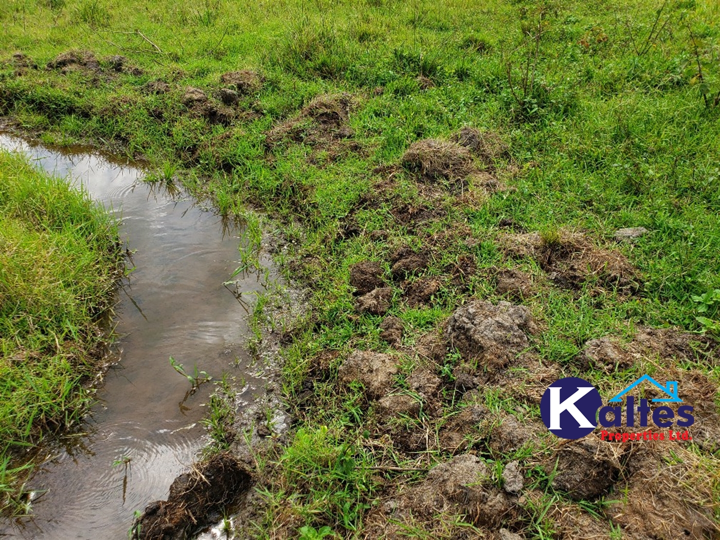 Agricultural Land for sale in Kisoga Mukono