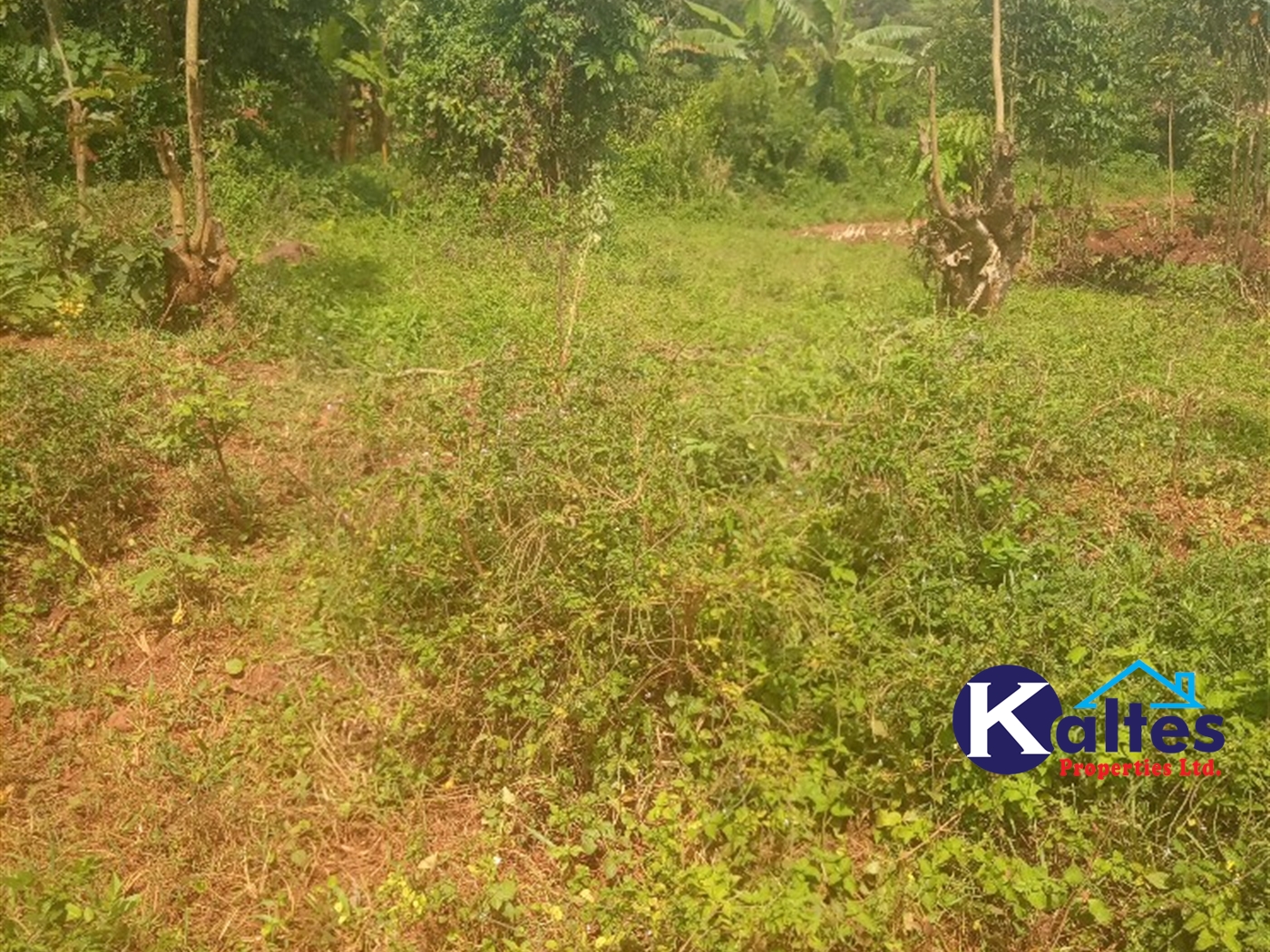 Agricultural Land for sale in Kisoga Mukono