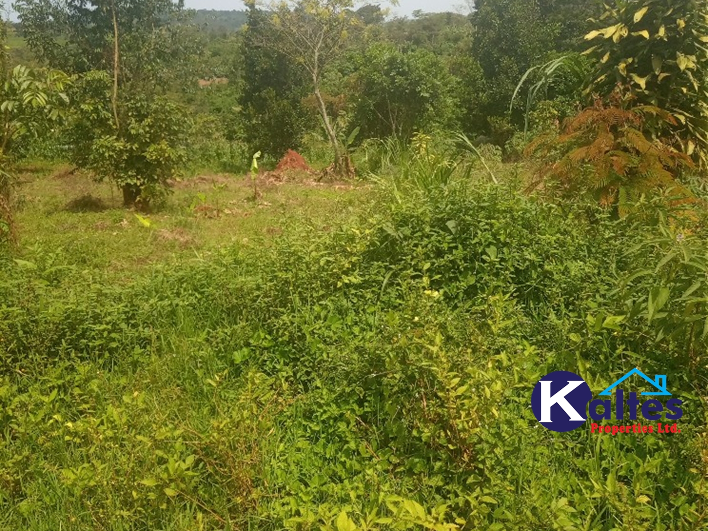 Agricultural Land for sale in Kisoga Mukono