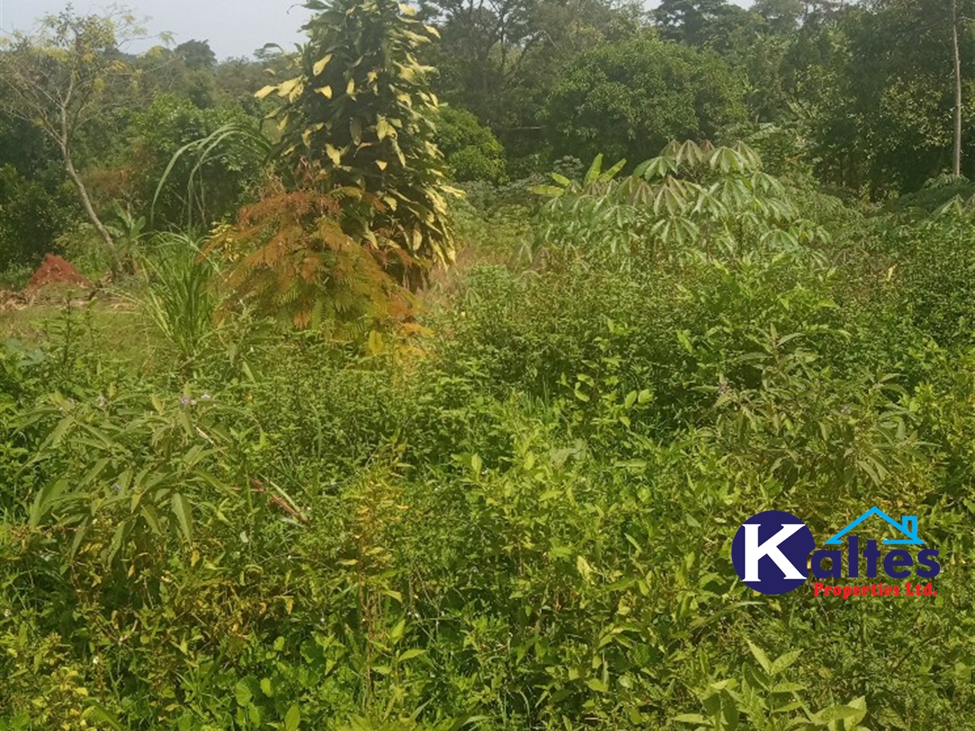 Agricultural Land for sale in Kisoga Mukono