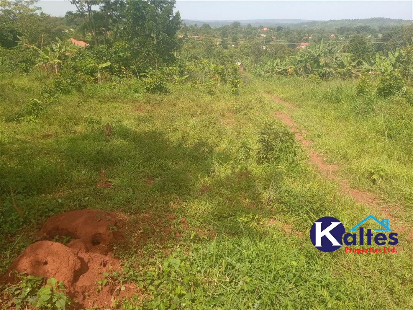 Agricultural Land for sale in Kisoga Mukono