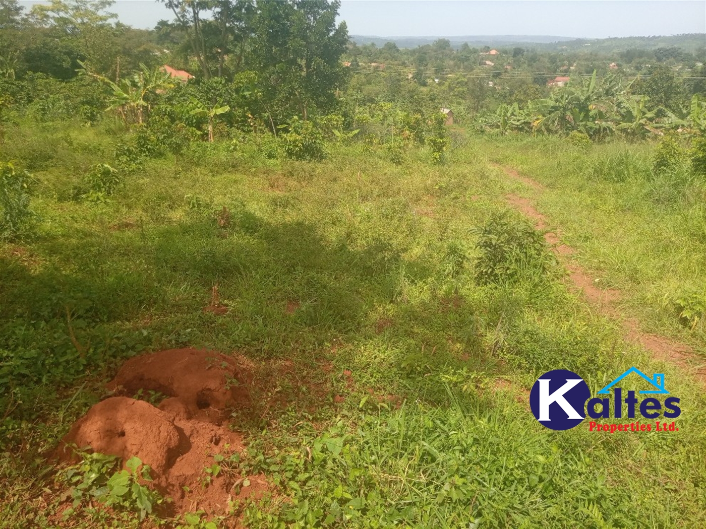 Agricultural Land for sale in Kisoga Mukono