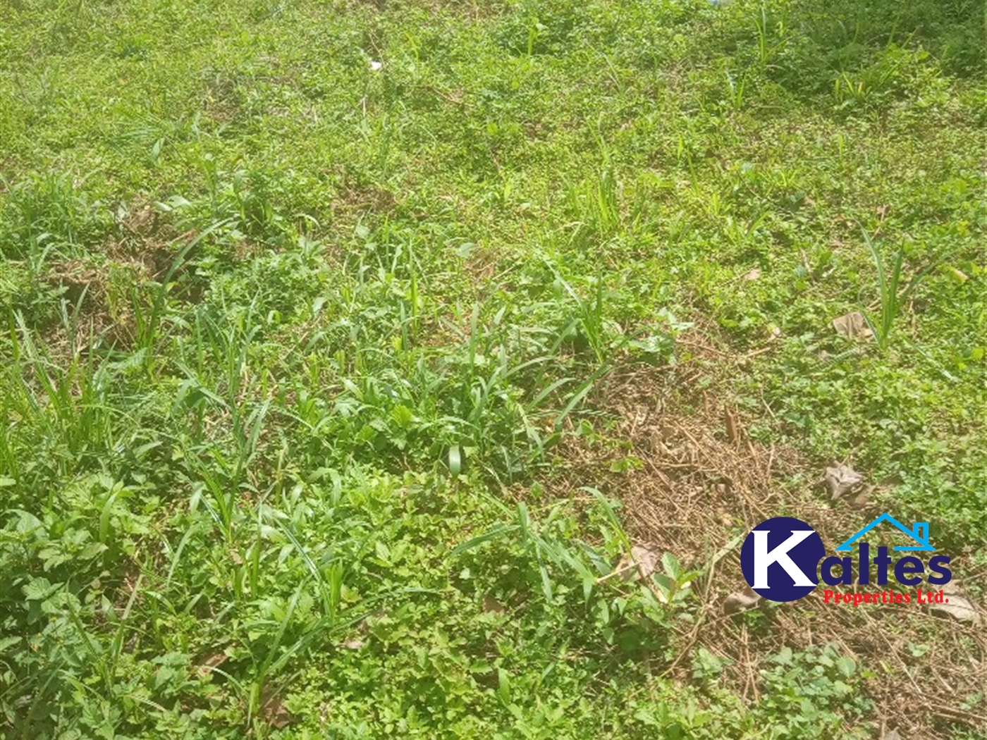 Agricultural Land for sale in Kisoga Mukono