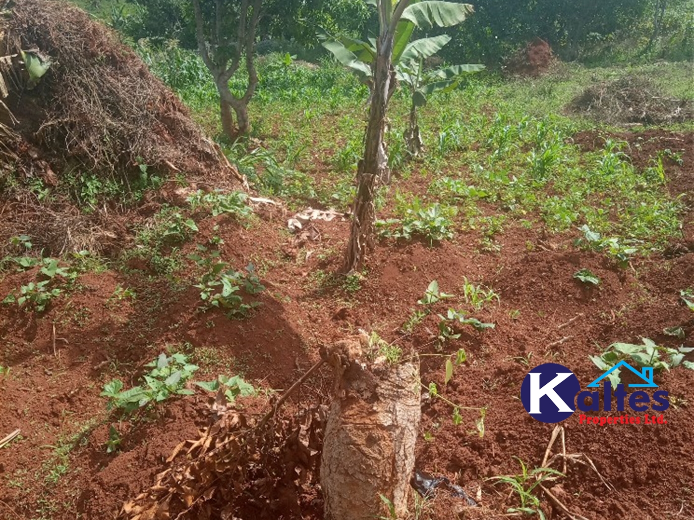 Agricultural Land for sale in Kisoga Mukono