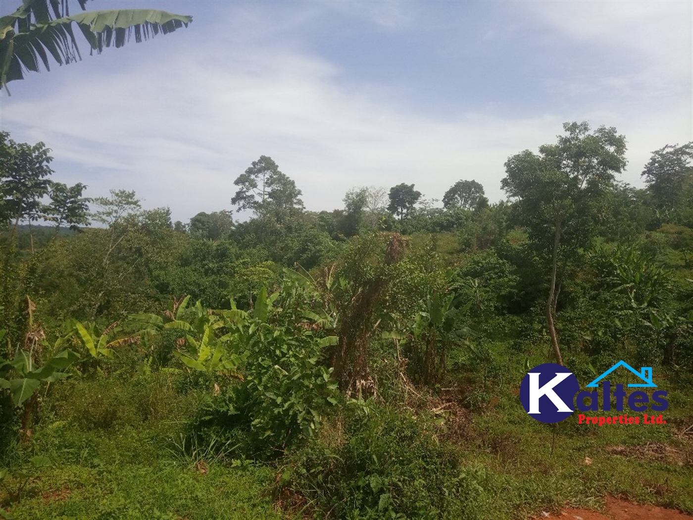 Agricultural Land for sale in Kisoga Mukono