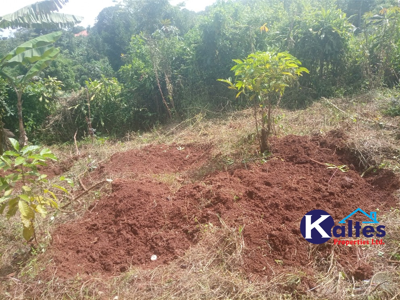 Agricultural Land for sale in Kisoga Mukono