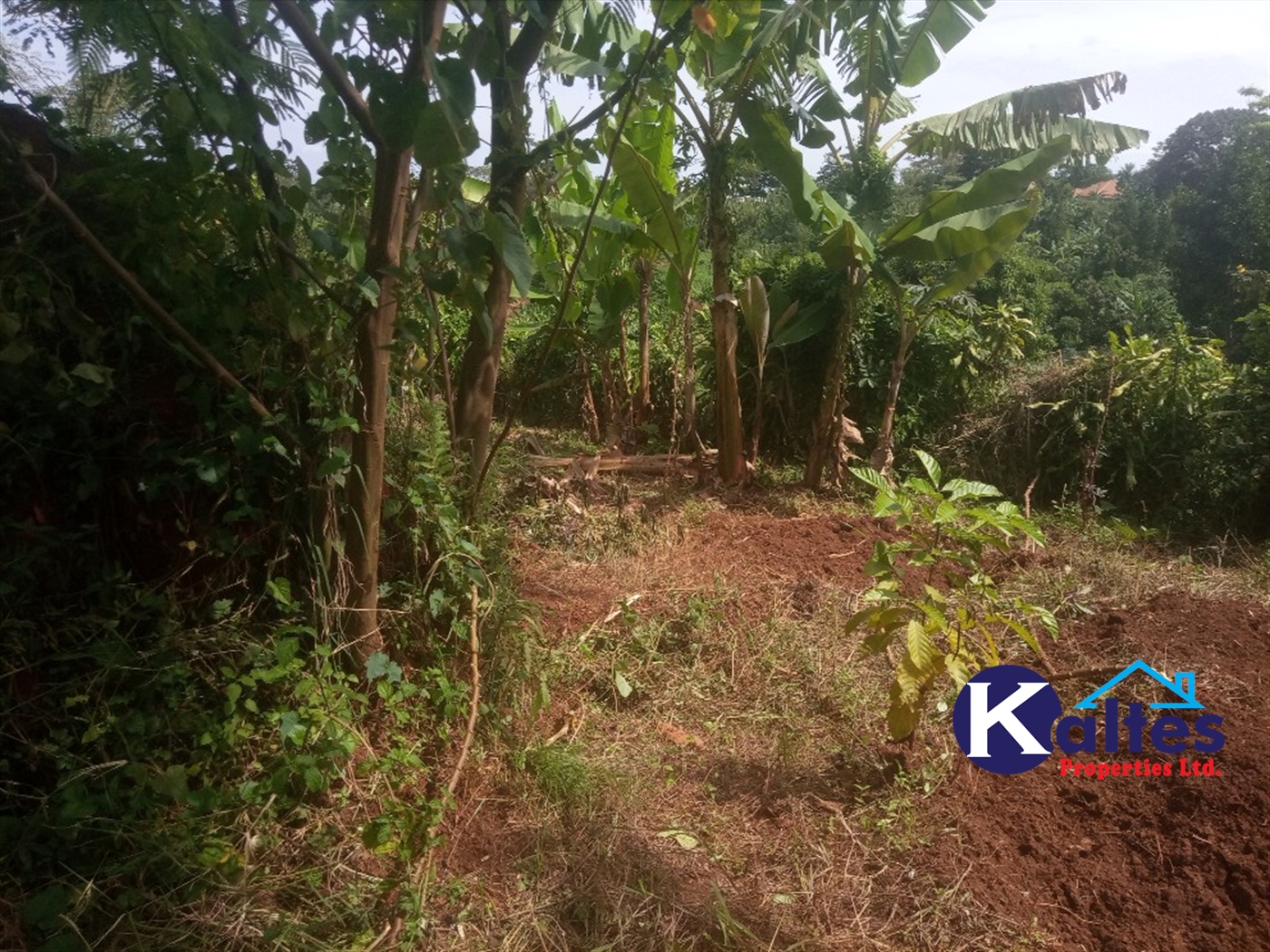 Agricultural Land for sale in Kisoga Mukono