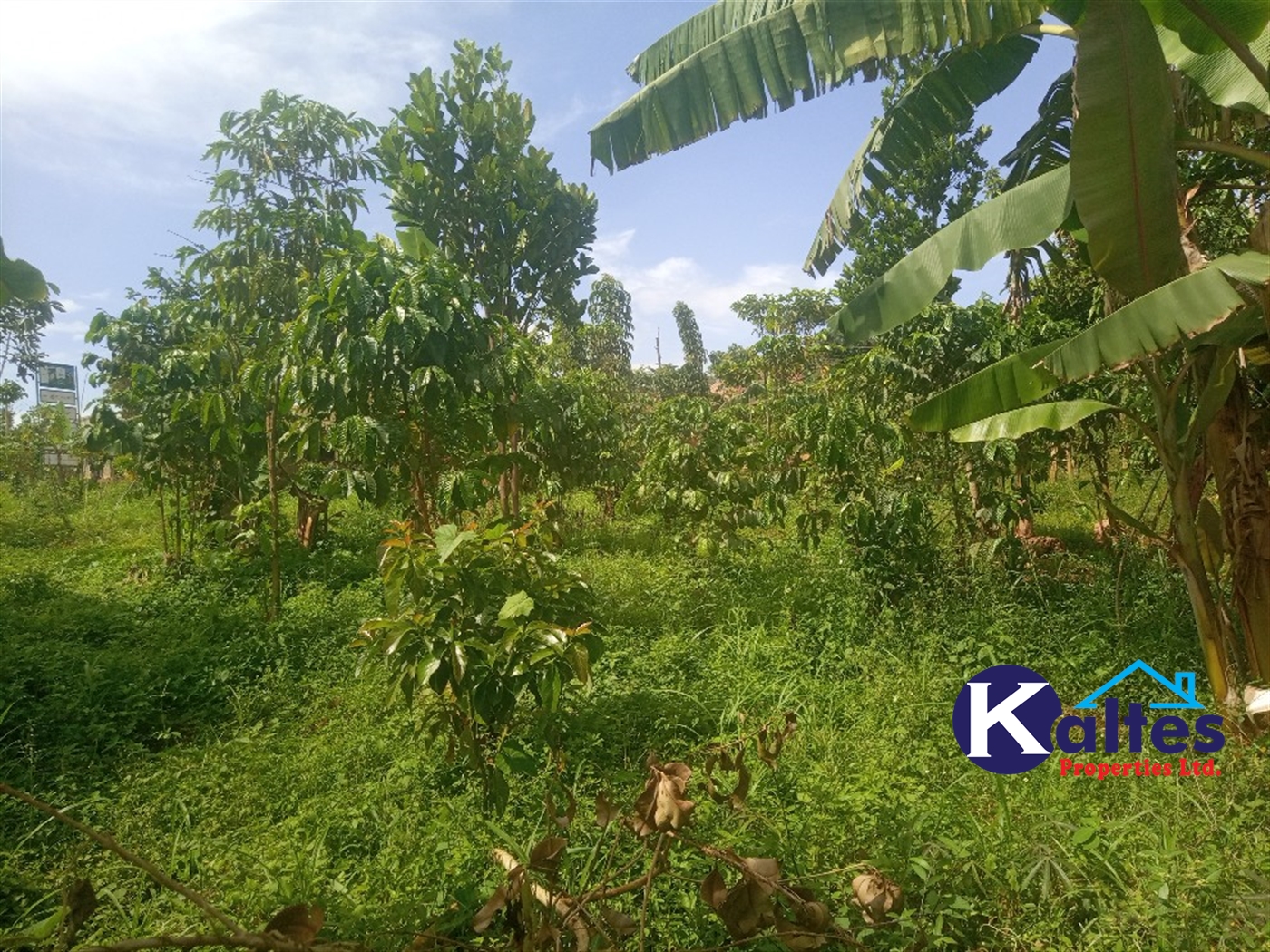 Agricultural Land for sale in Kisoga Mukono