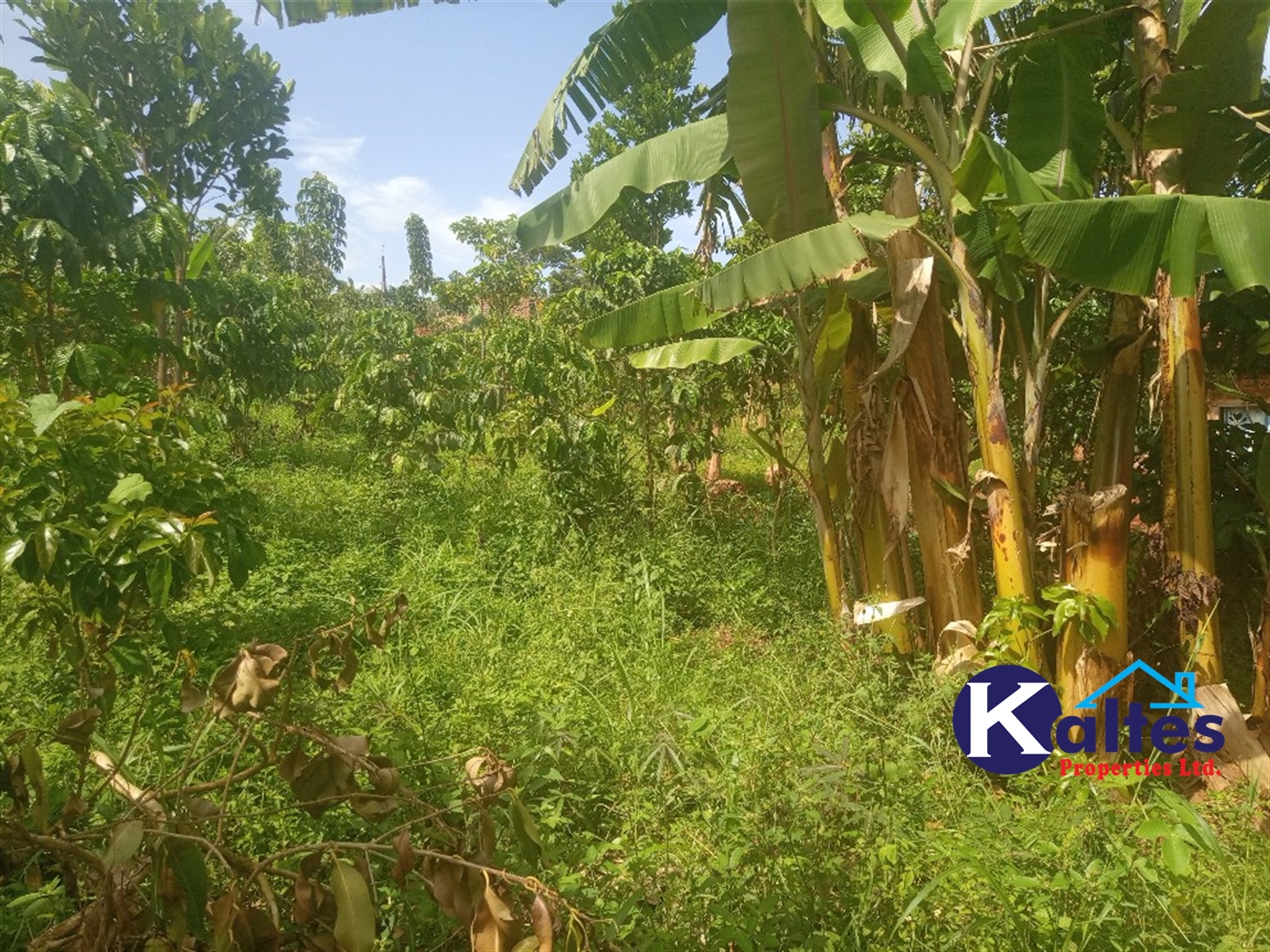 Agricultural Land for sale in Kisoga Mukono