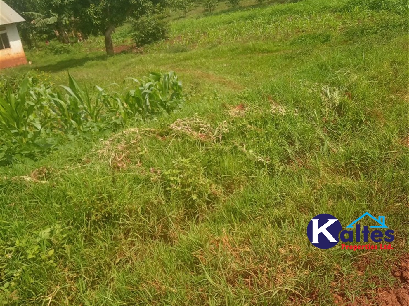 Agricultural Land for sale in Kisoga Mukono