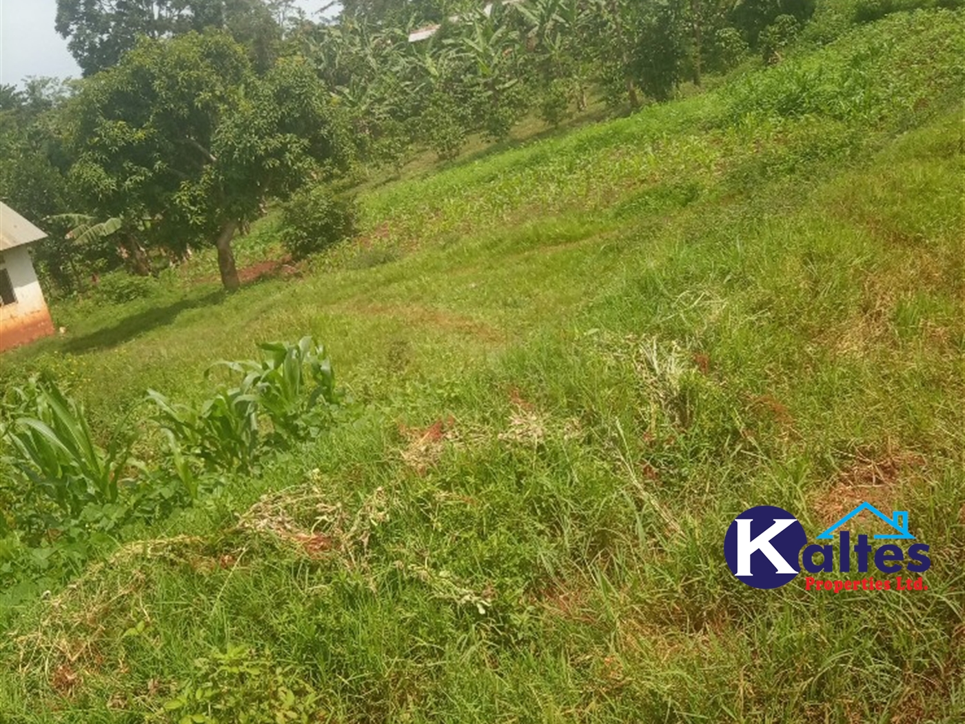 Agricultural Land for sale in Kisoga Mukono