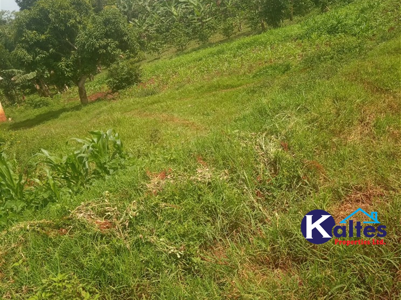 Agricultural Land for sale in Kisoga Mukono