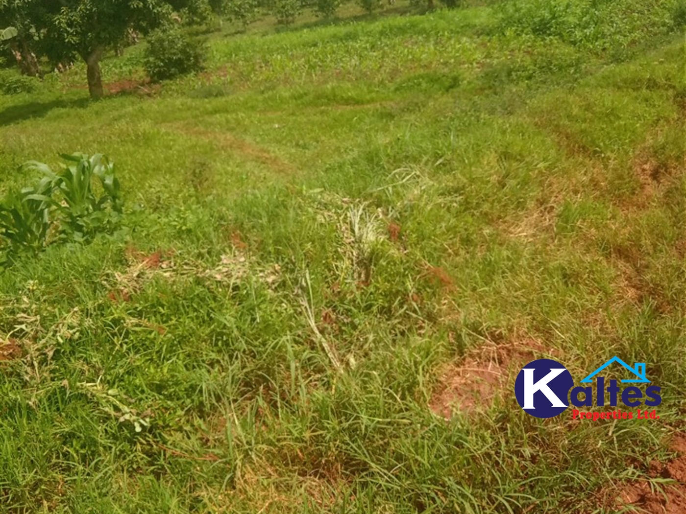 Agricultural Land for sale in Kisoga Mukono