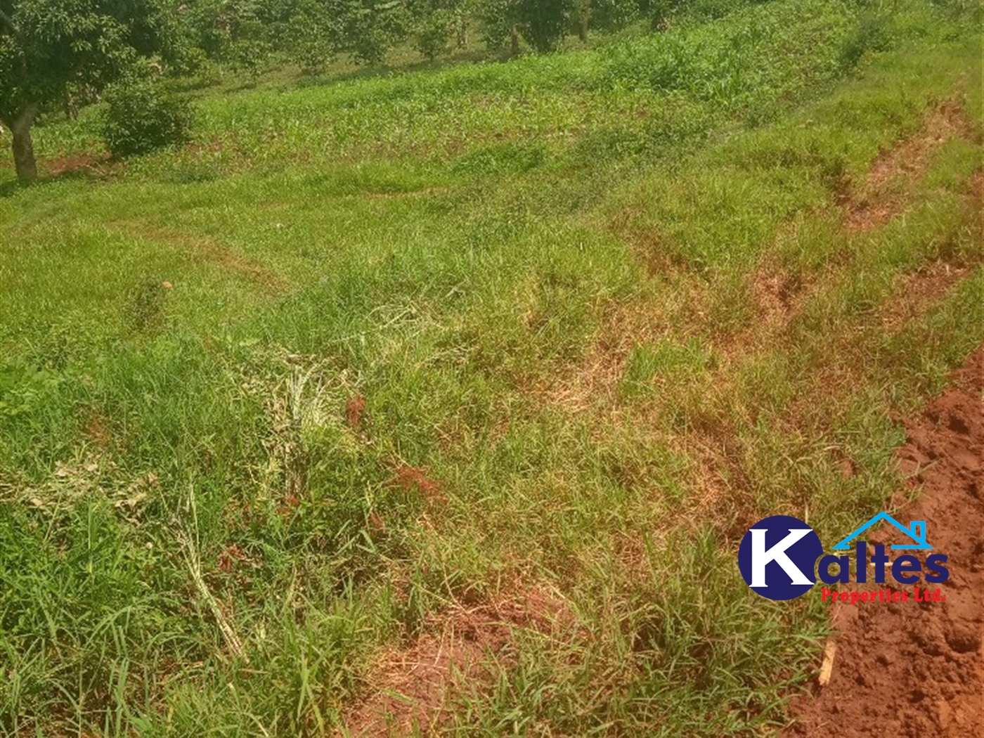 Agricultural Land for sale in Kisoga Mukono